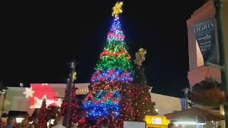 Symphony in Lights Tree Show The Shops at Wiregrass Wesley Chapel FL Christmas 2021 [upl. by Llenral]