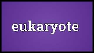 Eukaryote Meaning [upl. by Yssirk230]