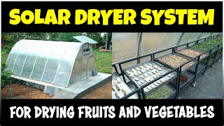 Agriculture Solar Dryer System  Solar dryer for Fruits and Vegetables [upl. by Hynes392]