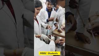 MBBS Students Life 🔥 Dissection Hall  Anatomy viva time shorts [upl. by Aisanat]