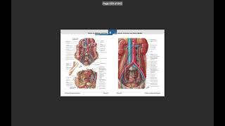 Ureter through Netter Atlas [upl. by Adle]