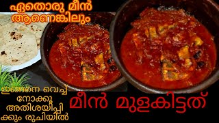 ഒരിക്കലെങ്കിലും ഇതുപോലെ തയ്യാറാക്കു  Meen mulakittathu  Meen curry  Fish Curry [upl. by Rosdniw]