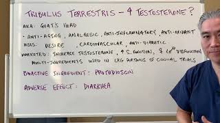 Tribulus Terrestris🐐🐐Increase Testosterone [upl. by Morrie]