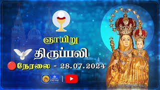 🔴 LIVE  Sunday Holy Mass in Tamil  28th July 2024  Annai Vailankanni Shrine  Besant Nagar Annai [upl. by Sena159]