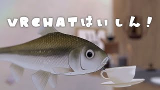 【Vtuberななうさりこ】ついに魚になりました！！！！！！【VRChat雑談】 [upl. by Allain]