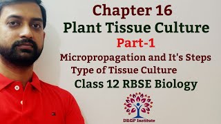 Class 12 Chapter 16 Plant Tissue Culture  Micropropagation Step  Types of Tissue Culture  Part1 [upl. by Ripleigh]