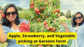 Picking Apples and Strawberries at the largest PickYourOwn Farm in the UK  Enjoying Food in Farm [upl. by Atilahs]