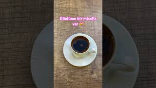 SimgeMisafir simgesağın misafir reels fall kahvefalı kahve lyrics music shorts reels [upl. by Ueihtam]