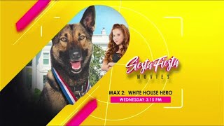 GTV  Siesta Fiesta Movies Max 2 White House Hero 2017 Promo September 4 2024 [upl. by Ellingston]