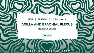 MSK S3L1 P2  Axilla And Brachial Plexus [upl. by Adalheid]