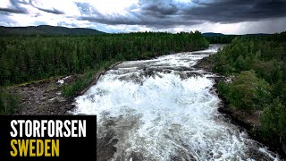 Storforsen Sweden’s Largest Rapid [upl. by Teyut]