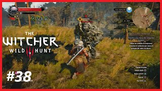 THE WITCHER 3 Wild Hunt 38 Elemental de Piedra [upl. by Mignonne]