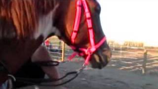 Natasha and Scooter bitless bridle barrel race [upl. by Swope707]