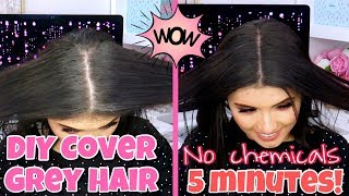 DIY Cover Grey Hair Home and Natural Ingredients BEFORE  AFTER ♥ Caro Losada [upl. by Shirberg]