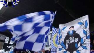 Mike Diel amp Die Chefs Unsere HoffnungUnsere HeimatUnsere Liebe Hoffenheim Song [upl. by Venuti]