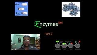 Enzymes JM Part 2mov [upl. by Magna]