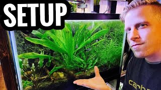 How to Set Up a Planted Aquarium  Live Plants for Beginners [upl. by Imit]