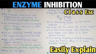 Enzyme Inhibition  Competitive And Non Competitive Inhibition  Class 11 Biology [upl. by Egag]