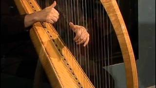 Episode 115  Eve Watters harp performance [upl. by Ttebroc]