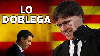 Puigdemont doblega a Sánchez [upl. by Sergu855]