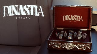 CoSang  Dinastia Visual Video [upl. by Eidahs]