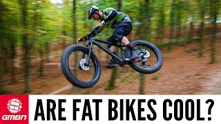 Are Fat Bikes Cool [upl. by Middlesworth]