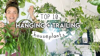 BEST Hanging  Trailing Houseplants Right Now 🌱 Top 10 Amazing Plants To Hang and Trail [upl. by Rozanne]