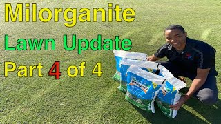 MILORGANITE BEFORE and AFTER Lawn Care Update  Part 4 of 4 [upl. by Rubetta]