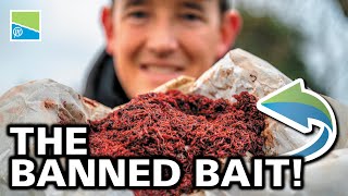 The BANNED Bait  Bloodworm amp Joker fishing with Lee Kerry [upl. by Vikki]