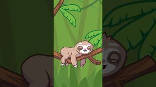 Cute Sloth Jokes that Will Brighten Your Day funny sloth [upl. by Enirehtac]