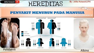 Penyakit Menurun pada Manusia HereditasBiologi SMA kelas 12 [upl. by Nwahsav]