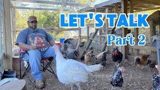 Chicken Chat Homesteading in Georgia Changed My Life [upl. by Yleak]