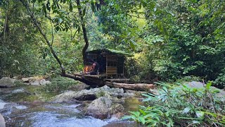 Full Video 300 days of bushwalking in the forest Build farms hunt and grow crops [upl. by Yhtamit]