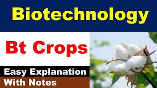 Bt crops  Biotechnology  Notes [upl. by Anitnas]