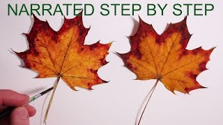 How to Draw a Leaf Narrated Step by Step [upl. by Suilmann]