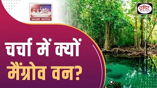 Mangrove Forests  Mangroves in India  To The Point  UPSC Current Affairs 2024  Drishti IAS [upl. by Suoicserp]