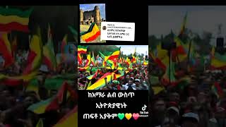 New Amharic Music [upl. by Reppiks]