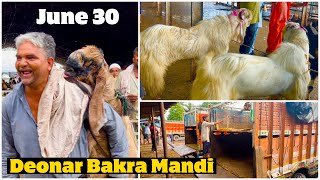 Deonar Bakra Mandi June 30 2022 Day 2 Morning Vlog  Gujri JP amp Alwari Goats [upl. by Monto799]