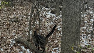 Got videos mixed up here’s the video of her going back to the pole barn after going to Aldi’s [upl. by Nagaet]