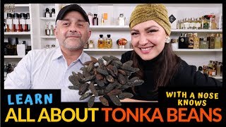 What Are Tonka Beans Everything You Need To Know About Tonka Beans WA Nose Knows [upl. by Culhert]