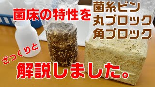 きのこ栽培用菌床の特性についてただただ話す動画【きのこ屋ワタナベの菌曜日】 [upl. by Aissatsan]