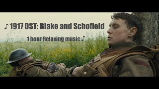 1917 OST  Blake and Schofield  1 hour Relaxing Music with opening scene [upl. by Irahcaz6]