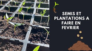 Semis et plantation à faire en FEVRIER [upl. by Zanze]