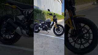 Ducati Scrambler cold morning start  Stock Exhaust Sound  ducati scrambler Thiminator [upl. by Reinar]