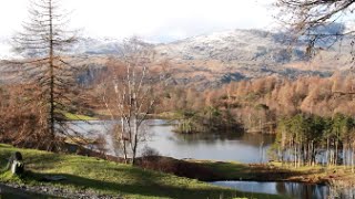 Lake District Walks Tarn Hows [upl. by Yuille216]