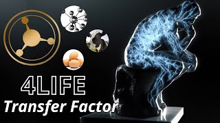 El Recorrido de 4Life Transfer Factor a Través del Cuerpo ¿Cómo funciona [upl. by Bowes]