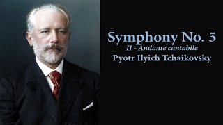 Pyotr Ilyich Tchaikovsky  Symphony No 5 2nd Mvt  Atlanta Philharmonic Orchestra [upl. by Fira]