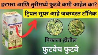 Tripple Super Tonic  ट्रिप्पल सुपर टॉनिक बद्दल संपूर्ण माहिती [upl. by Yttisahc]