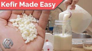 Homemade Kefir  Rebuild Your Gut Microbiome [upl. by Wildon]