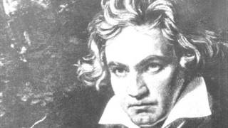 Ludwig van Beethoven  5 Sinfonie  Satz 1 [upl. by Clemmy983]